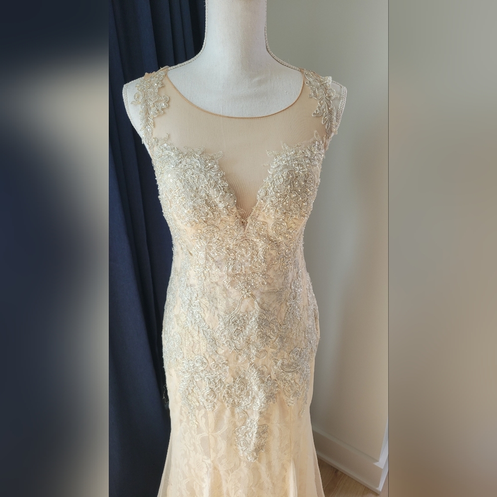 DAVIDS BRIDAL | Champagne Lace Beaded Dress - Picture 3 of 16